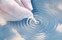 Connecting Point Northwest logo